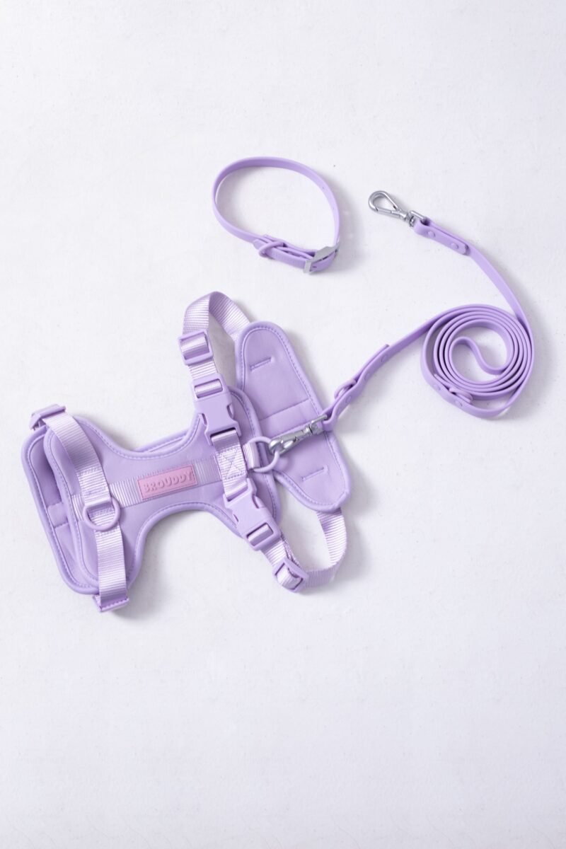 Set Lila