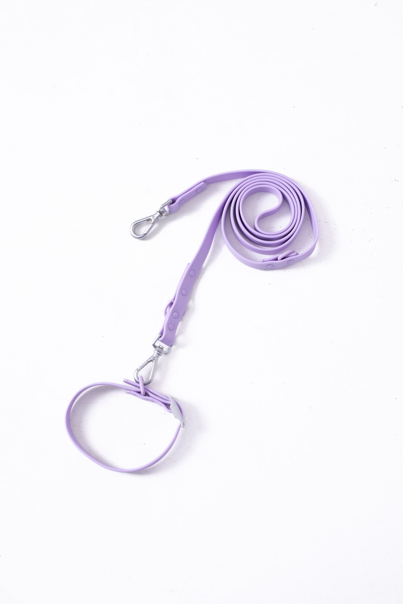 Collar + Correa (Lila)