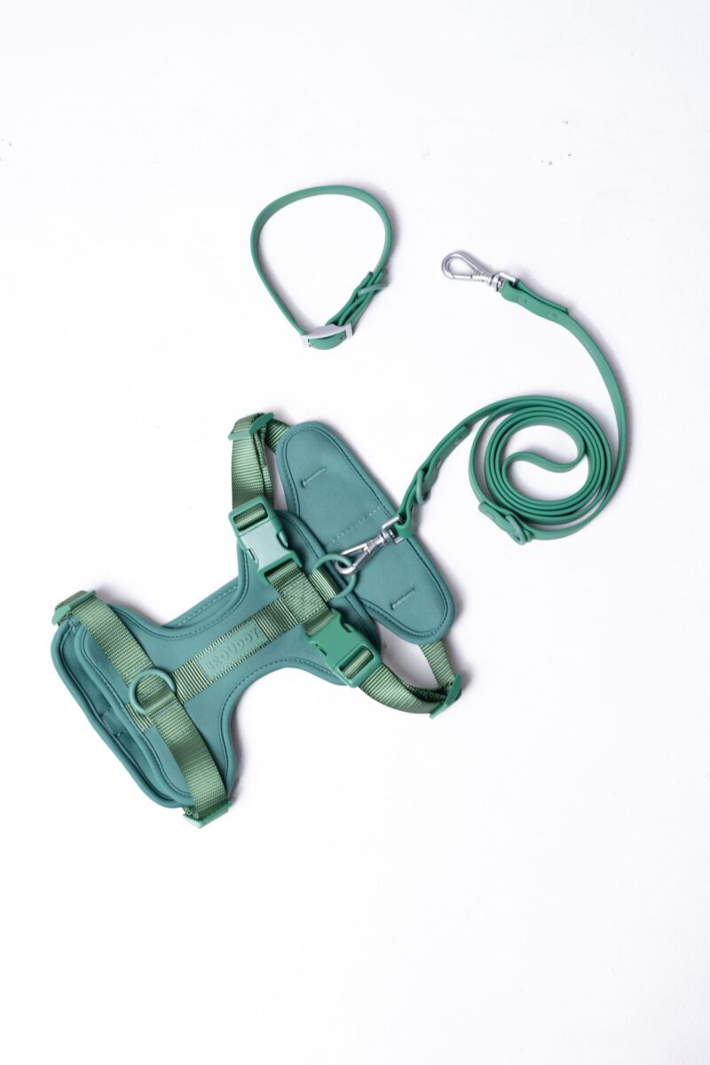 Set Verde