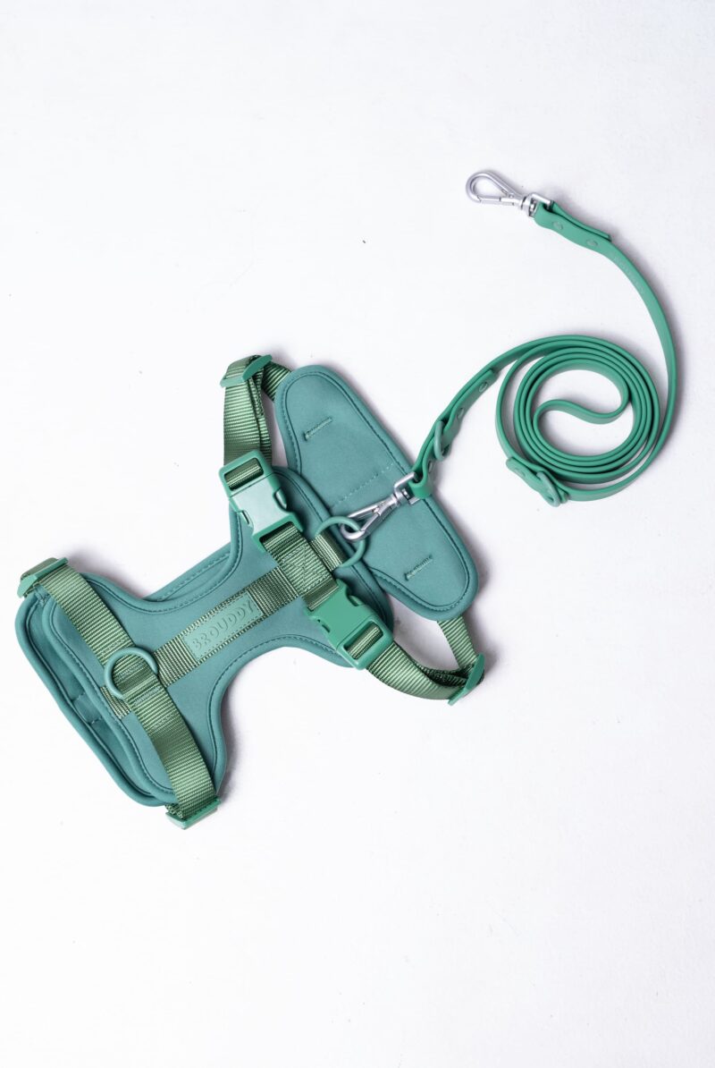 Pechera + Correa (Verde)
