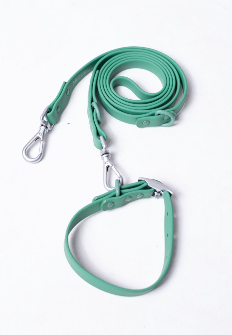 Collar + Correa (Verde)