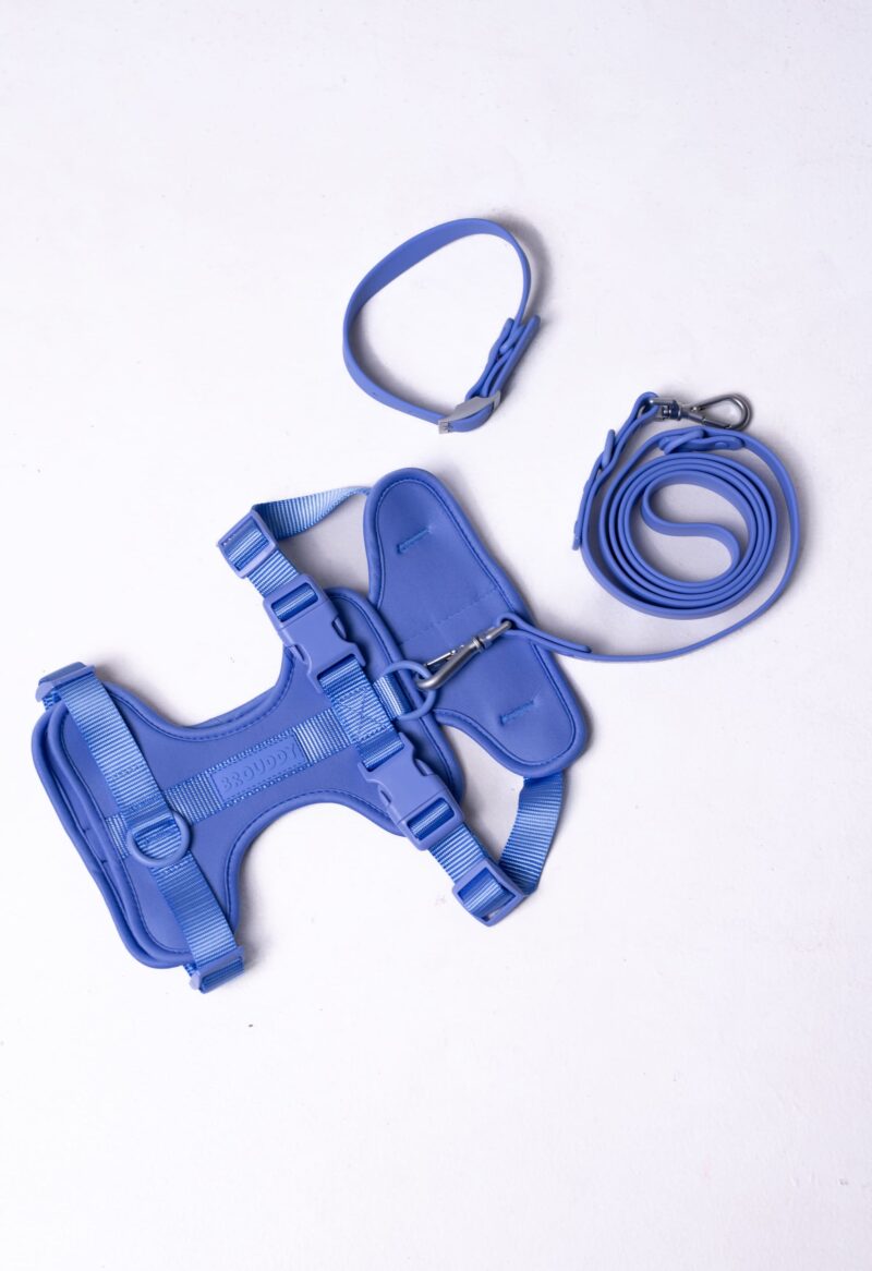 Set Azul