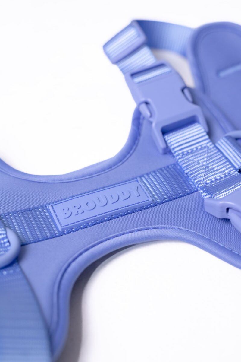 Pechera Azul